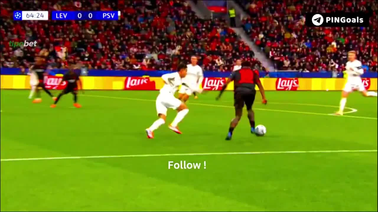 zaslepka skrotu video