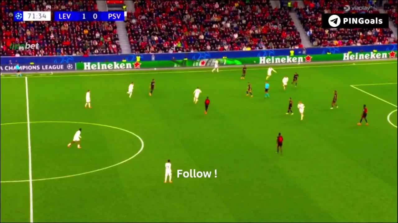 zaslepka skrotu video