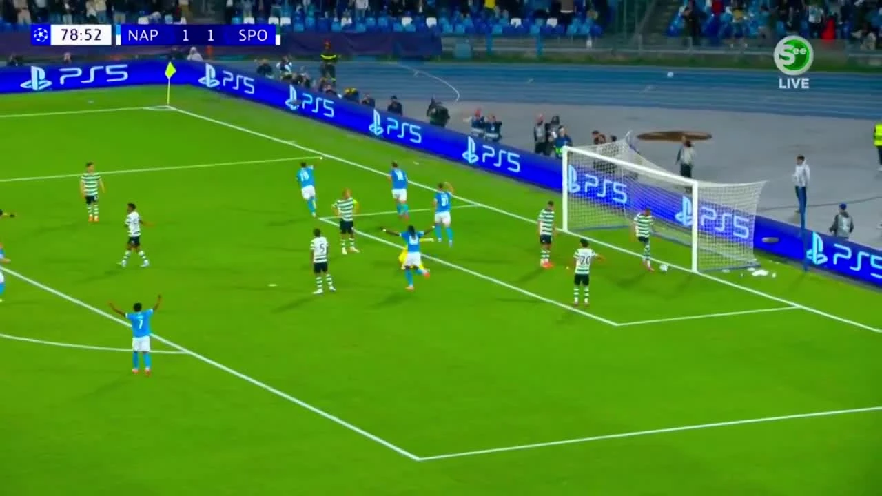 zaslepka skrotu video