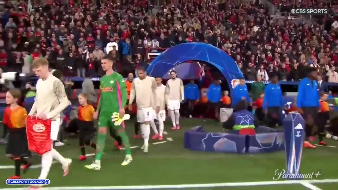 zaslepka skrotu video