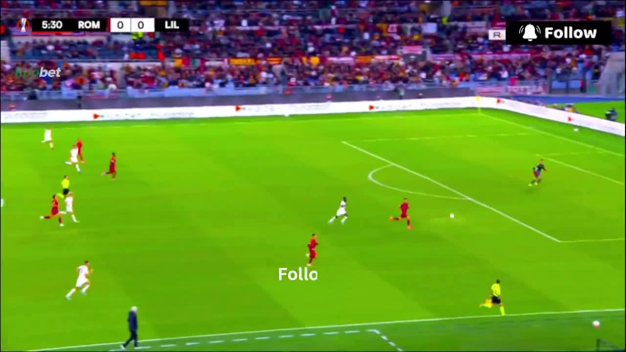 zaslepka skrotu video