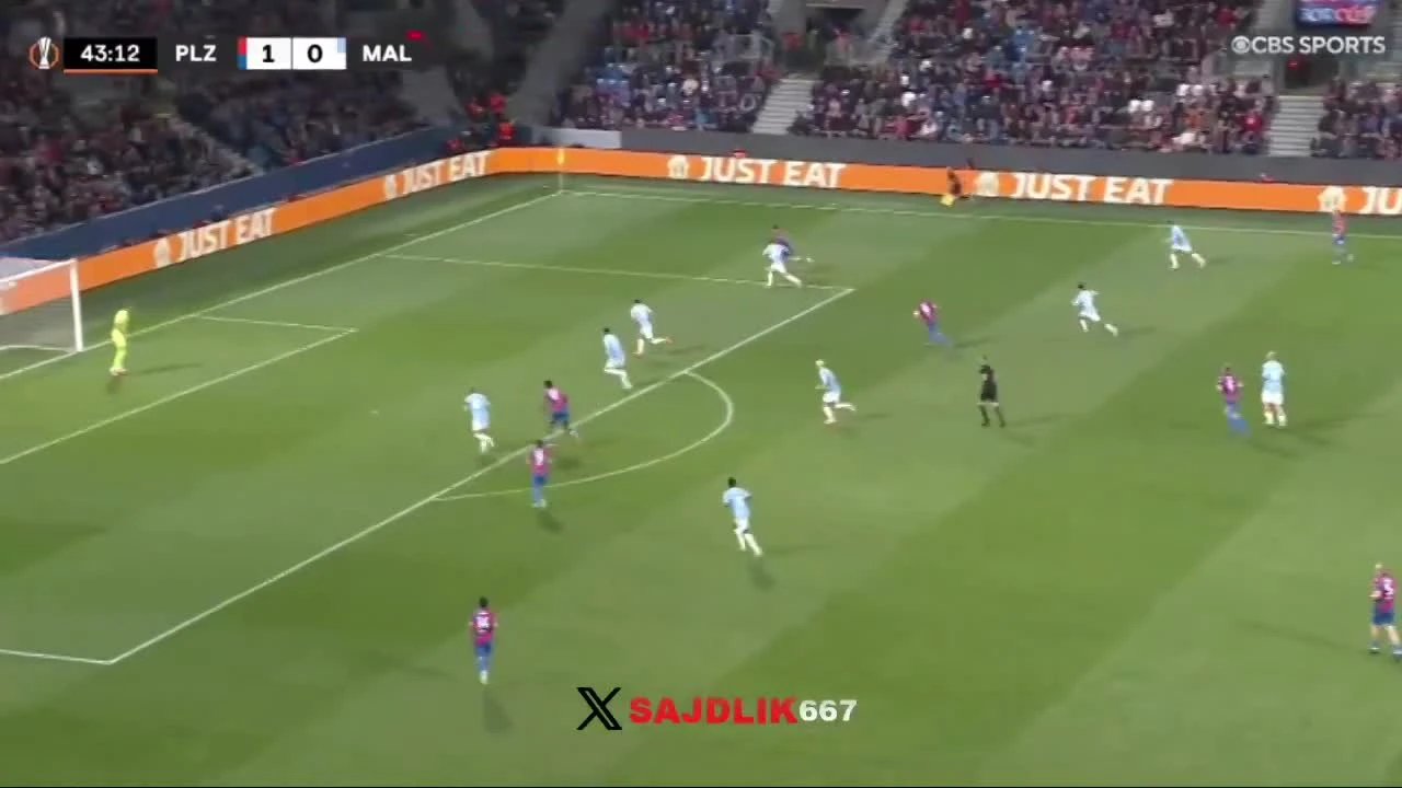 zaslepka skrotu video