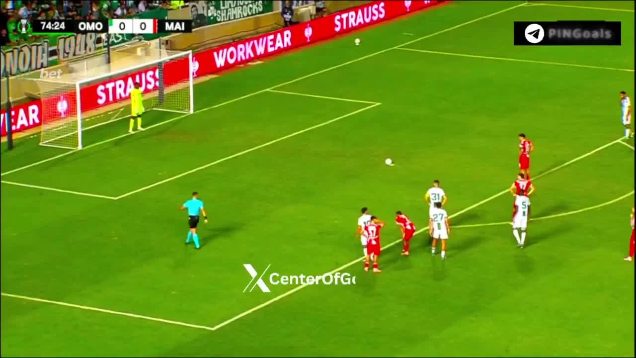 zaslepka skrotu video