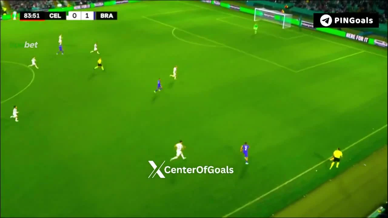zaslepka skrotu video
