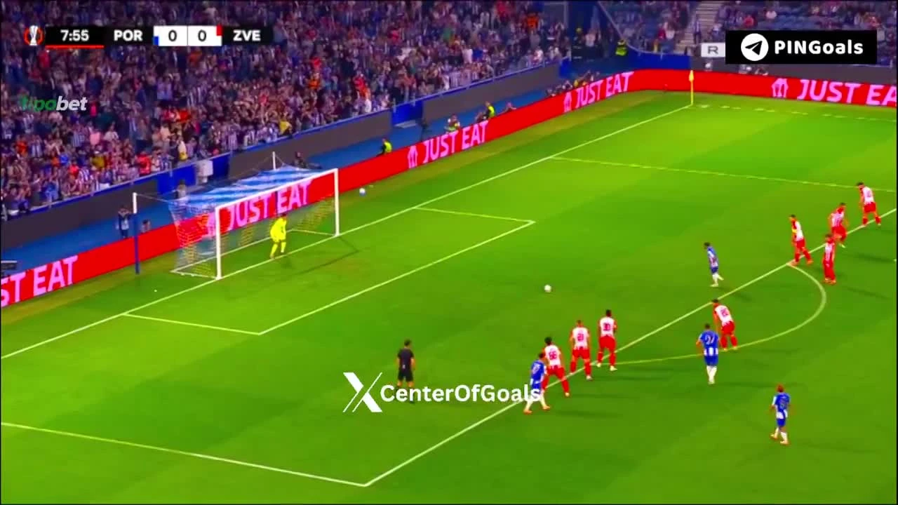 zaslepka skrotu video