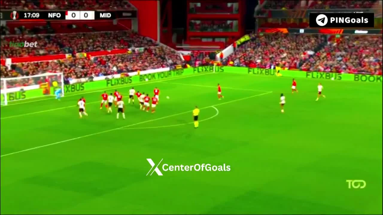 zaslepka skrotu video