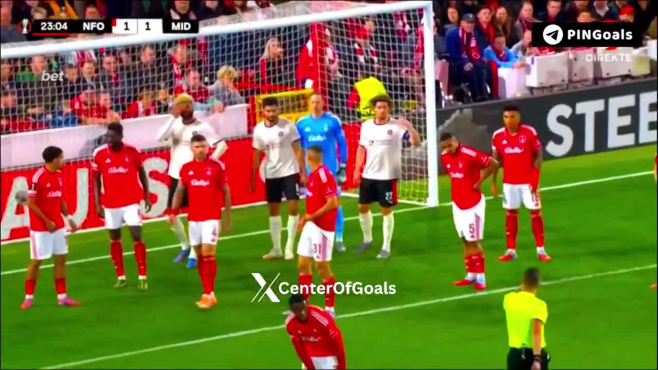 zaslepka skrotu video