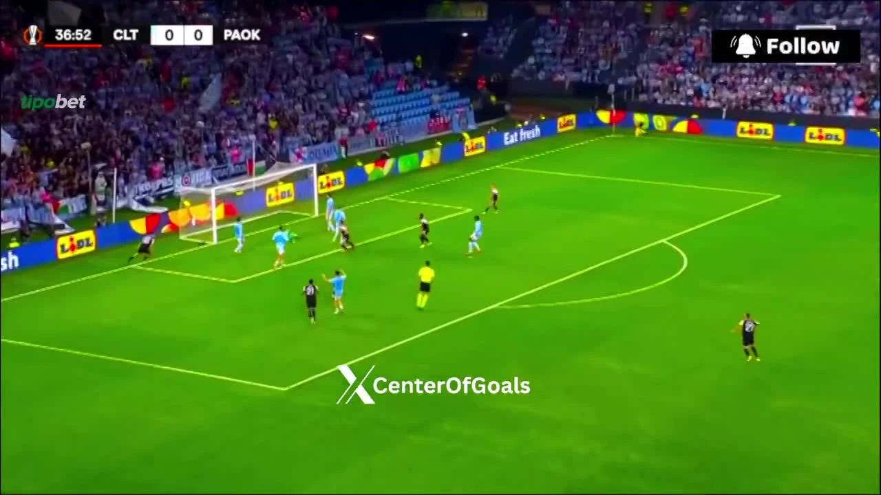 zaslepka skrotu video