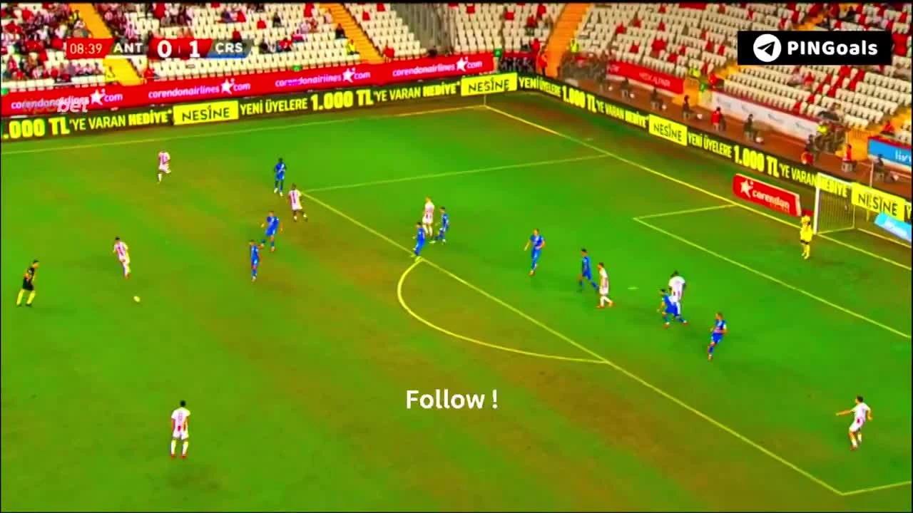 zaslepka skrotu video