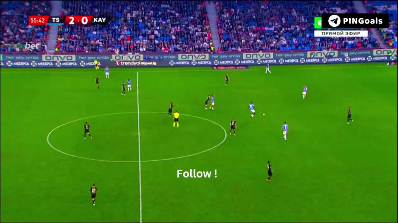 zaslepka skrotu video