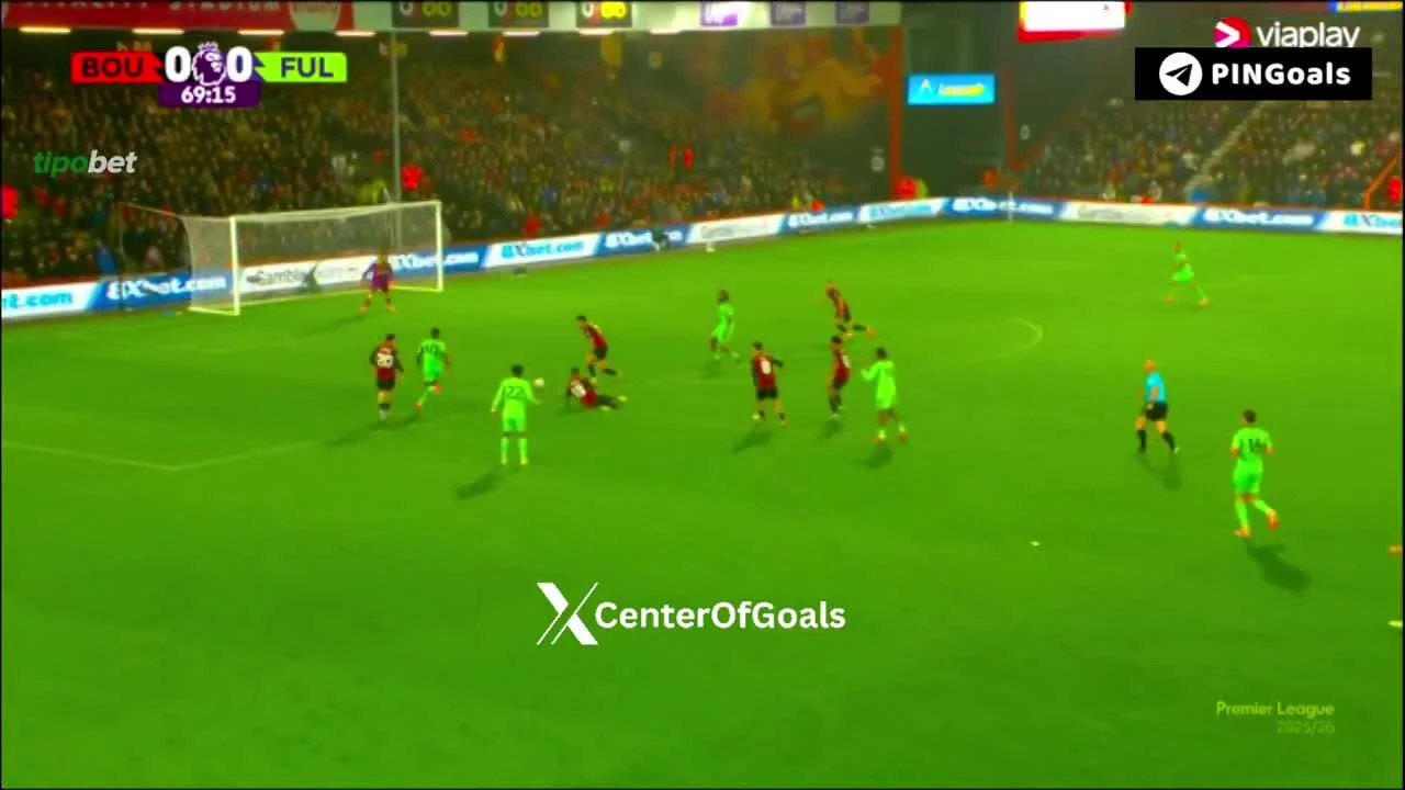 zaslepka skrotu video
