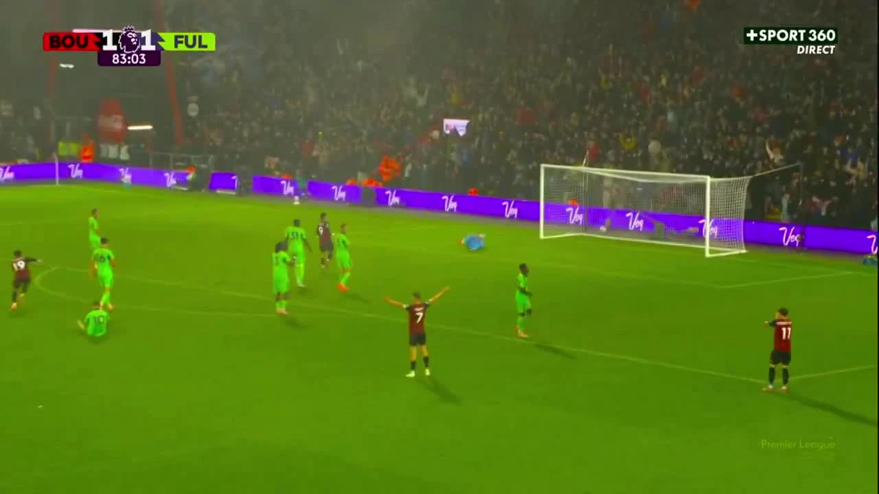 zaslepka skrotu video
