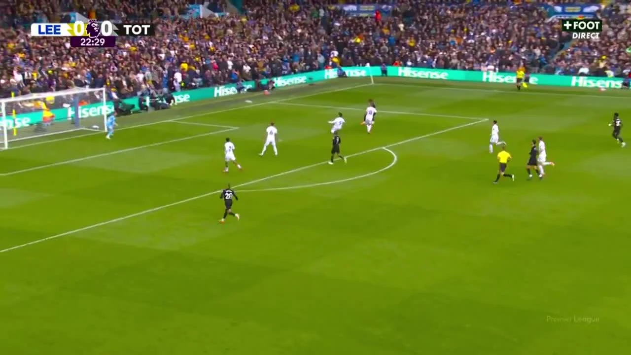 zaslepka skrotu video