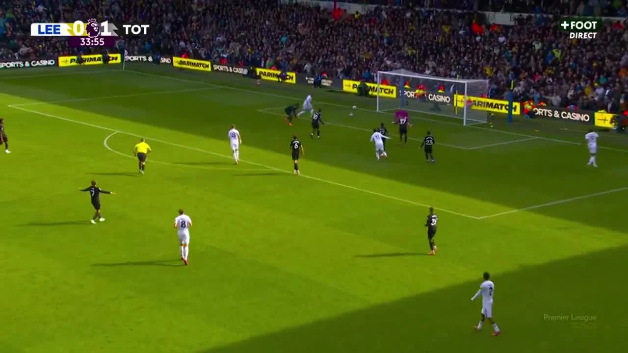 zaslepka skrotu video