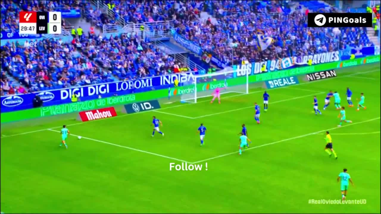 zaslepka skrotu video