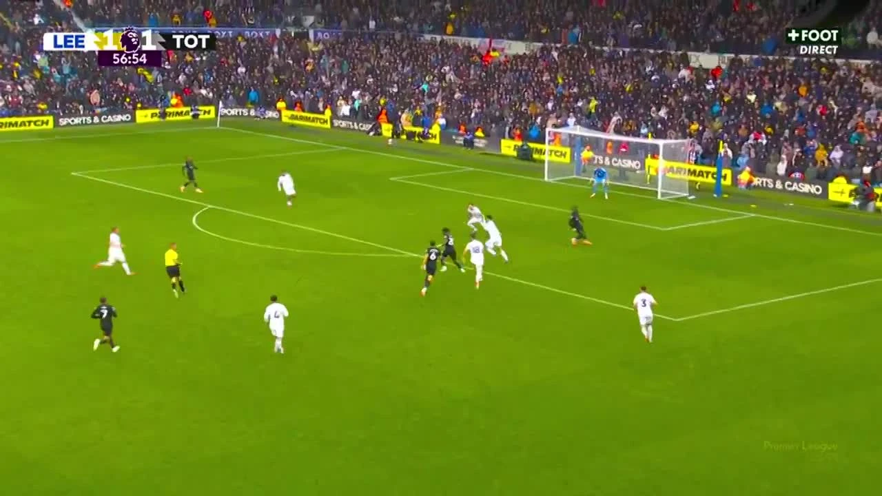 zaslepka skrotu video