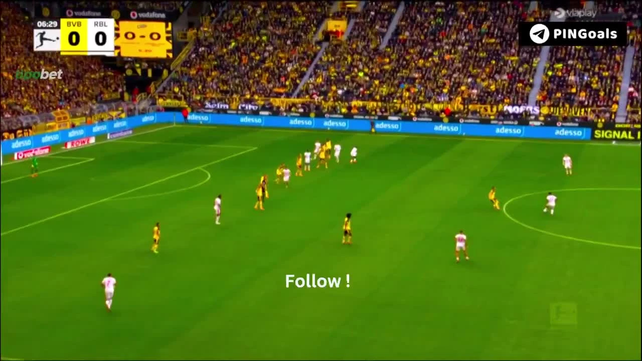 zaslepka skrotu video