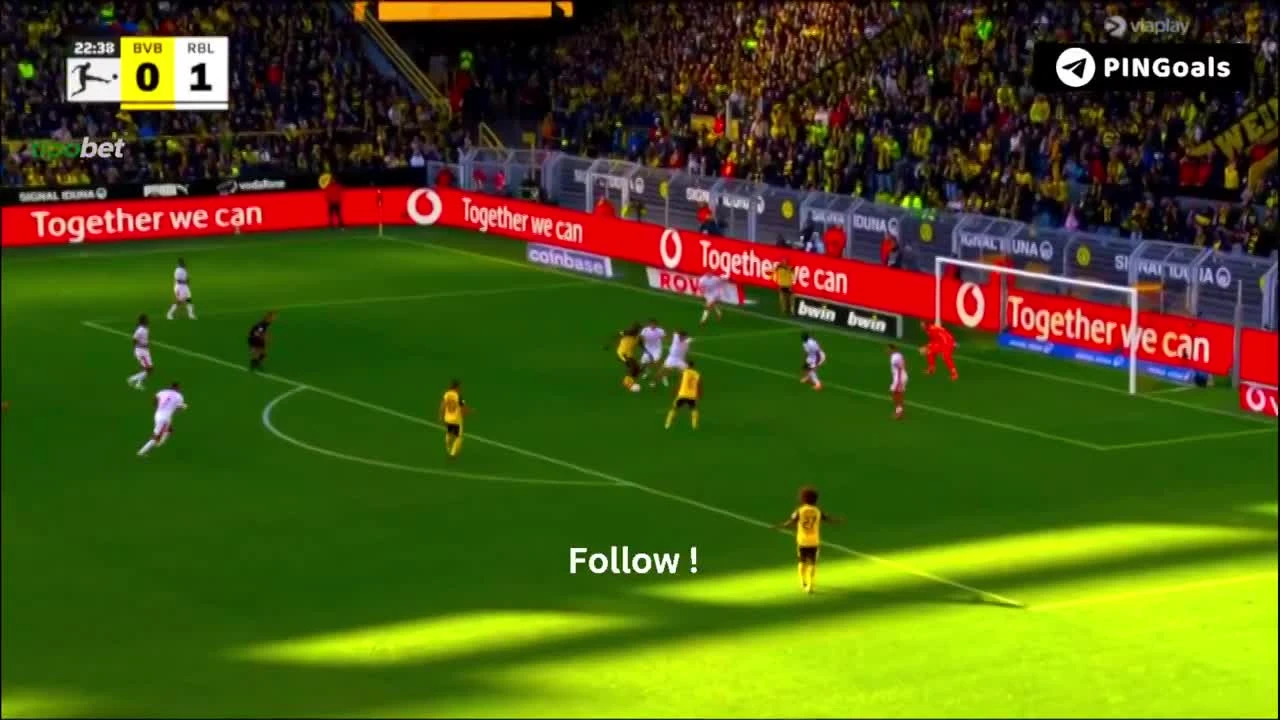 zaslepka skrotu video