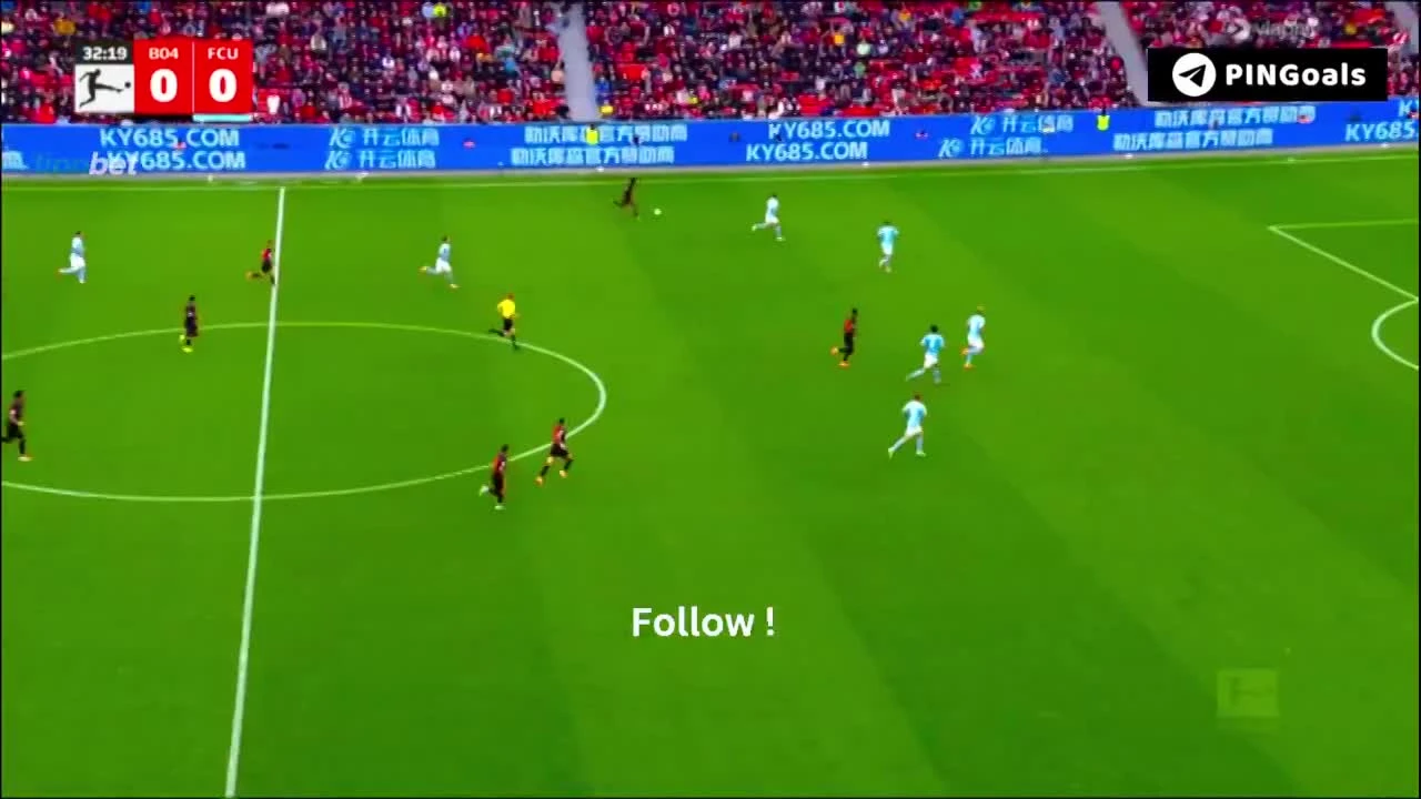 zaslepka skrotu video