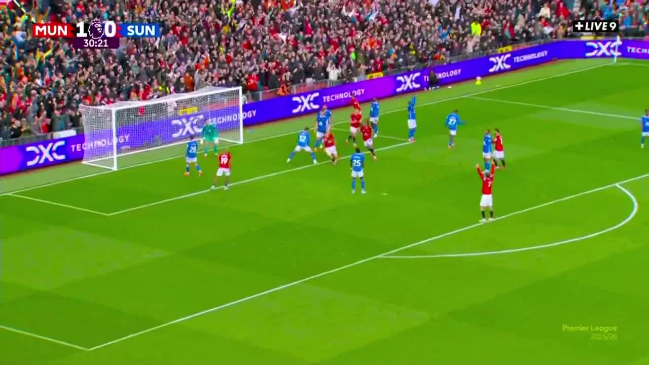 zaslepka skrotu video