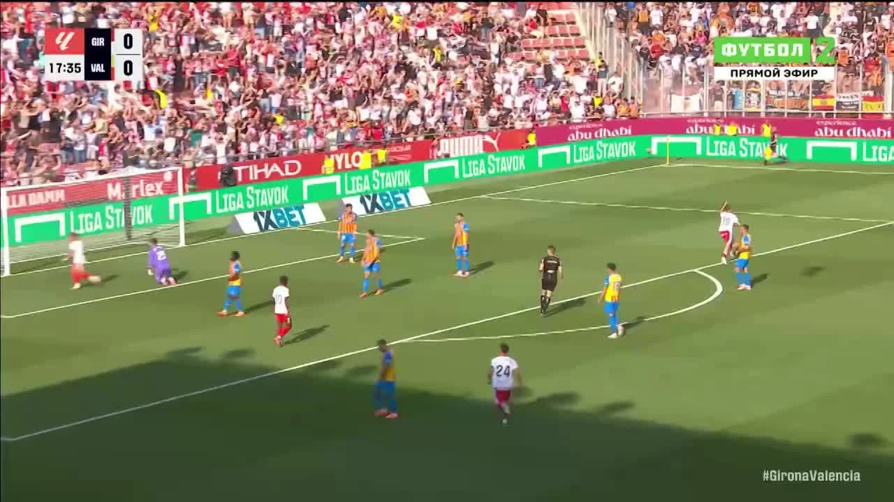 zaslepka skrotu video