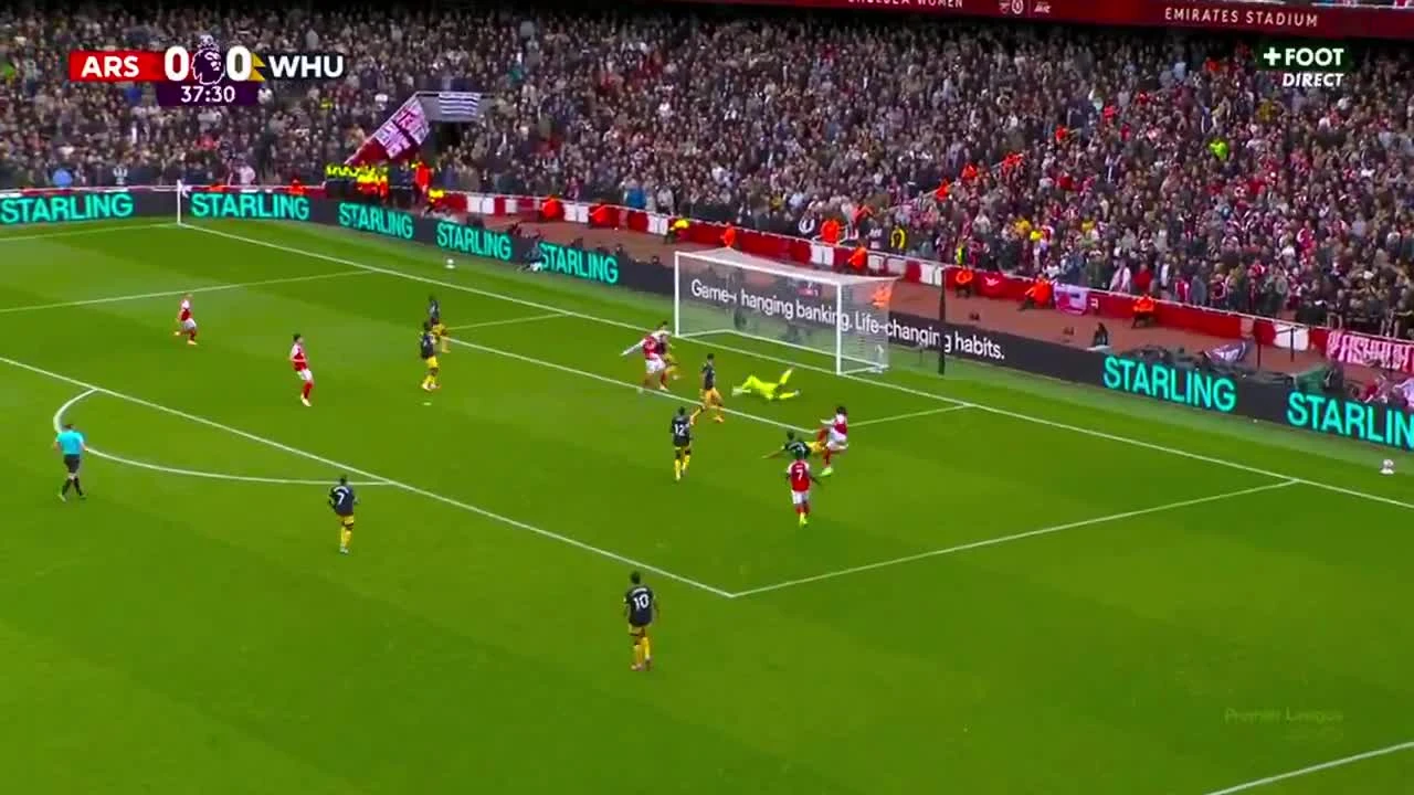 zaslepka skrotu video