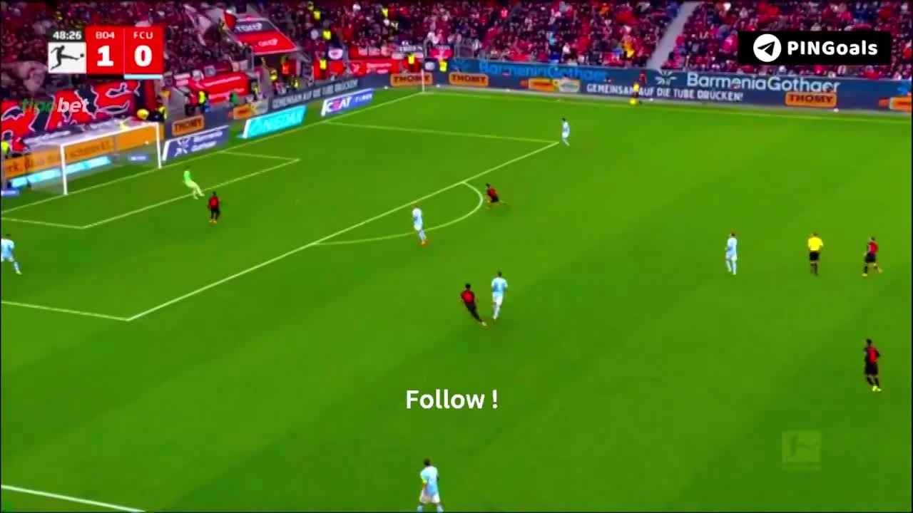 zaslepka skrotu video