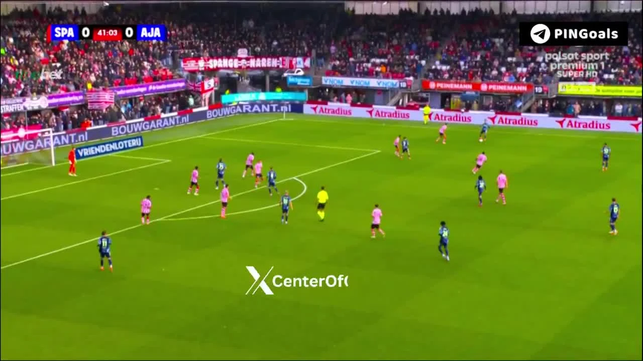 zaslepka skrotu video