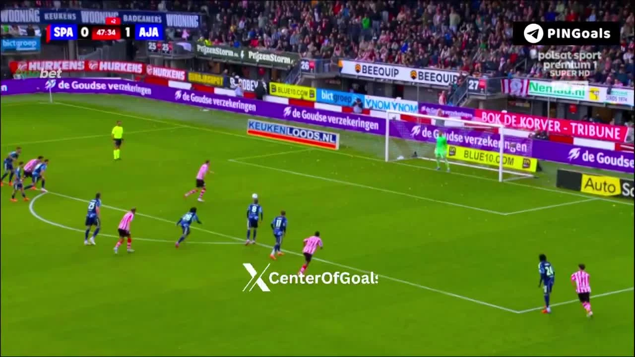 zaslepka skrotu video