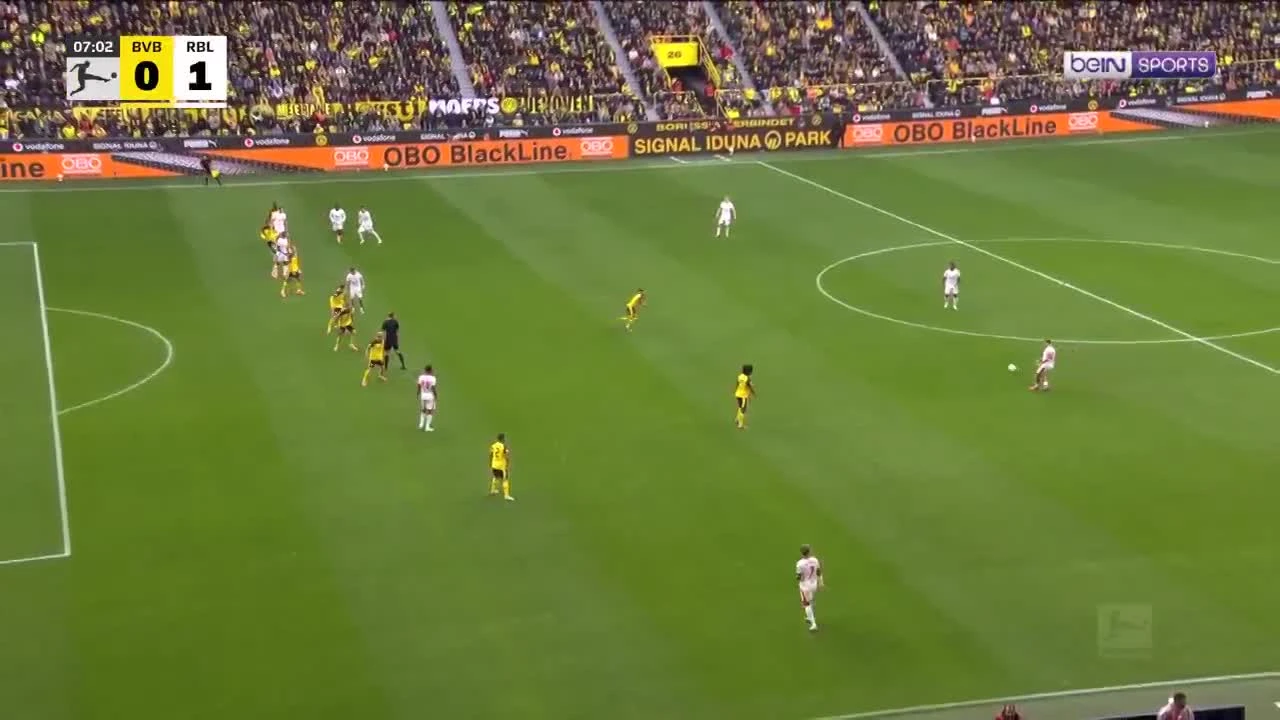 zaslepka skrotu video