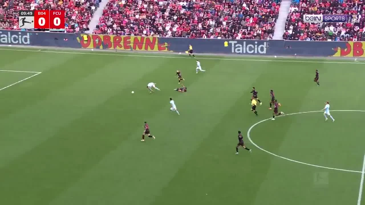 zaslepka skrotu video