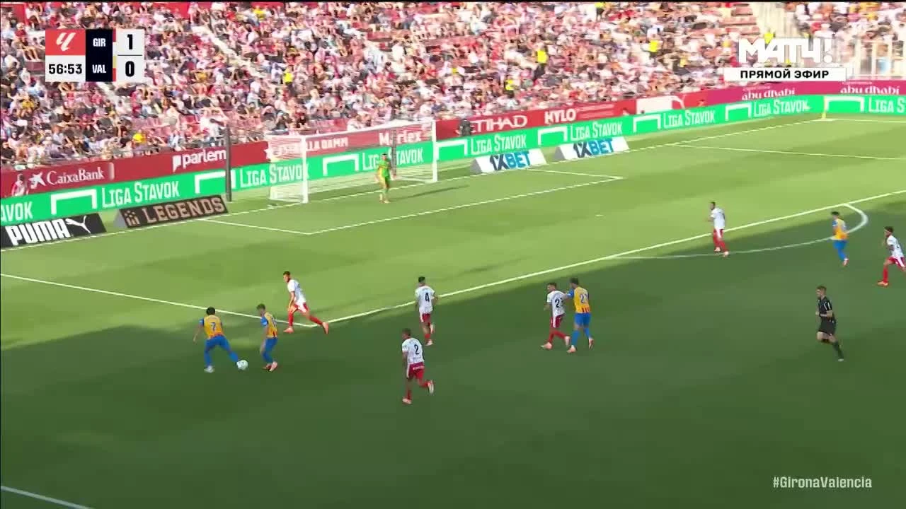 zaslepka skrotu video