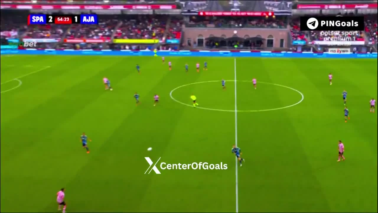 zaslepka skrotu video