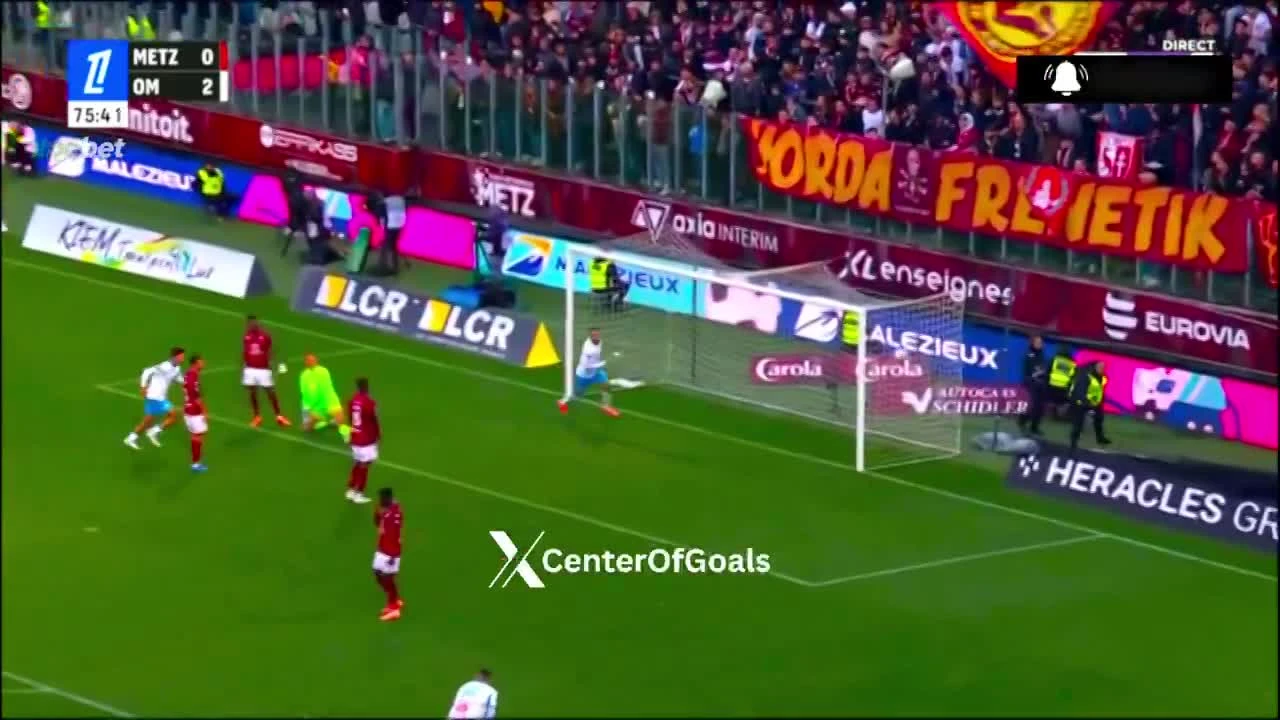 zaslepka skrotu video
