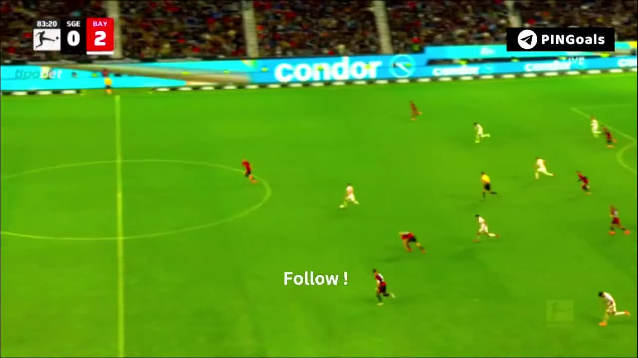 zaslepka skrotu video
