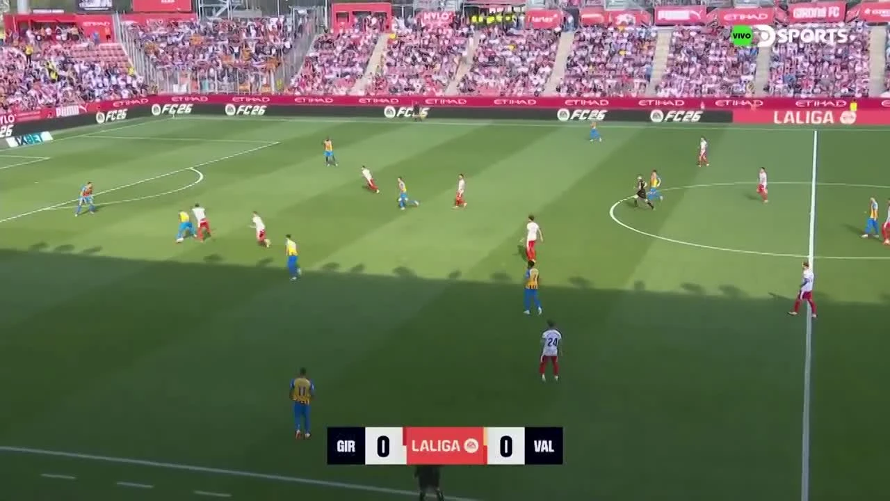 zaslepka skrotu video