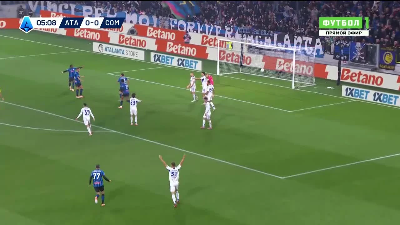 zaslepka skrotu video