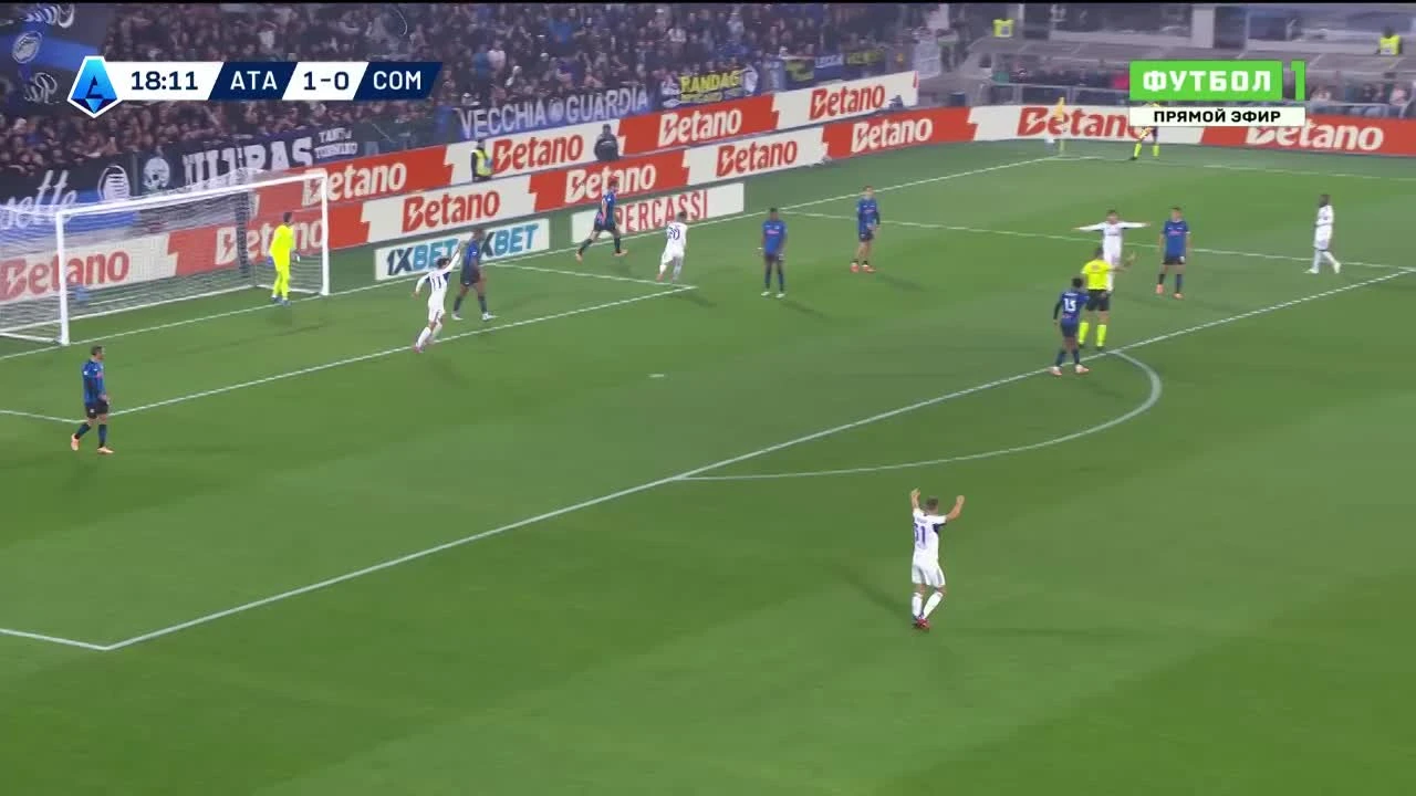 zaslepka skrotu video
