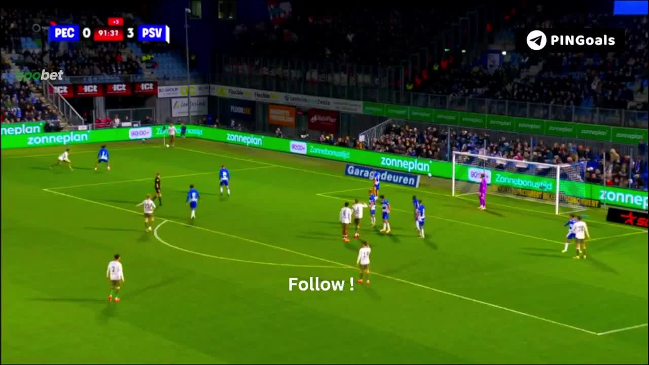zaslepka skrotu video