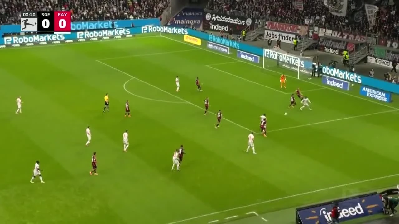 zaslepka skrotu video