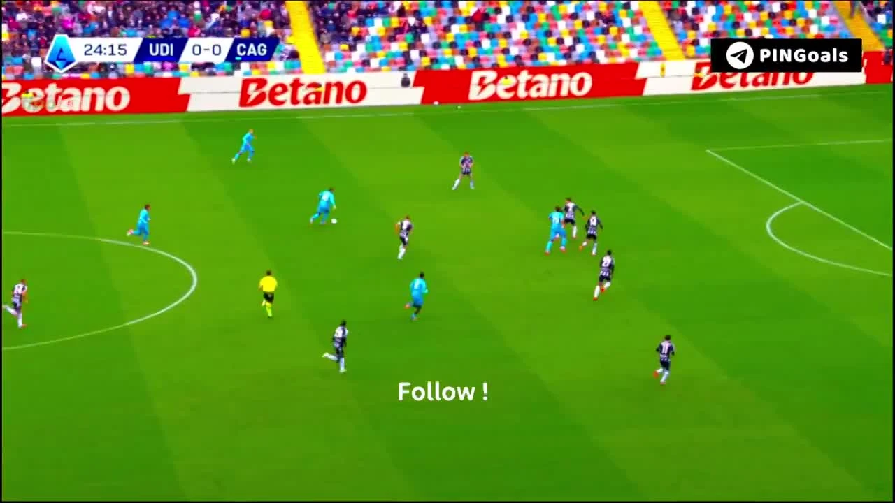 zaslepka skrotu video