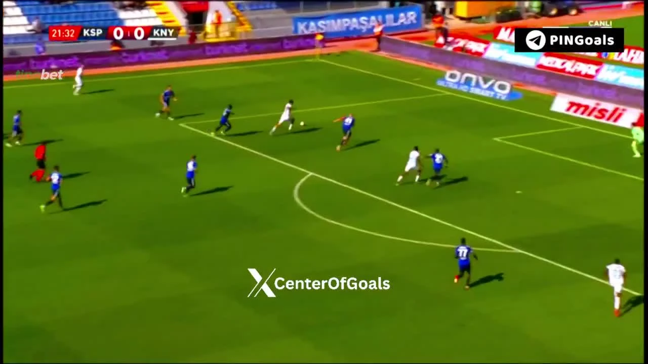 zaslepka skrotu video