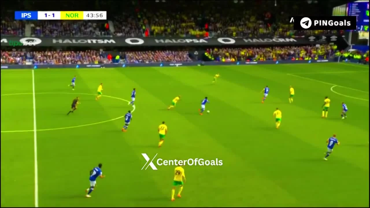 zaslepka skrotu video