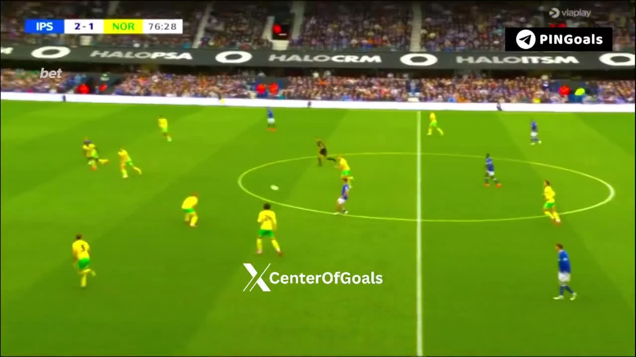 zaslepka skrotu video