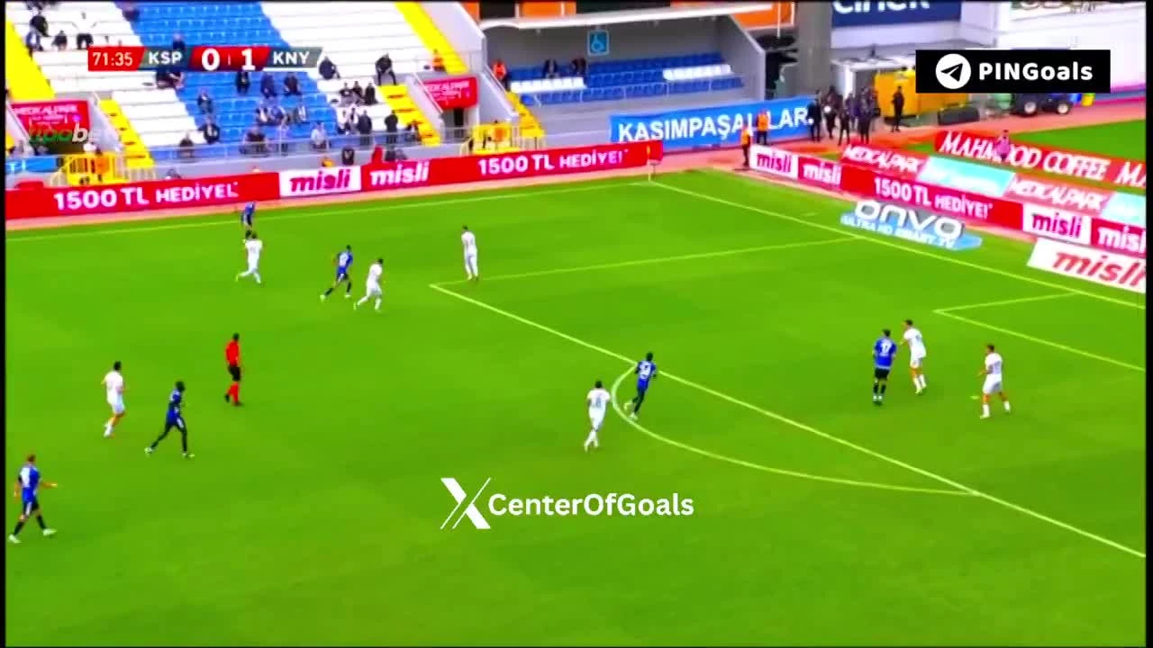 zaslepka skrotu video