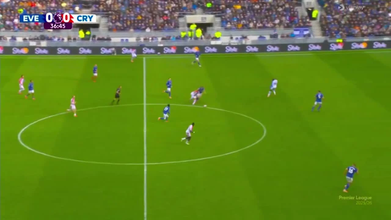 zaslepka skrotu video