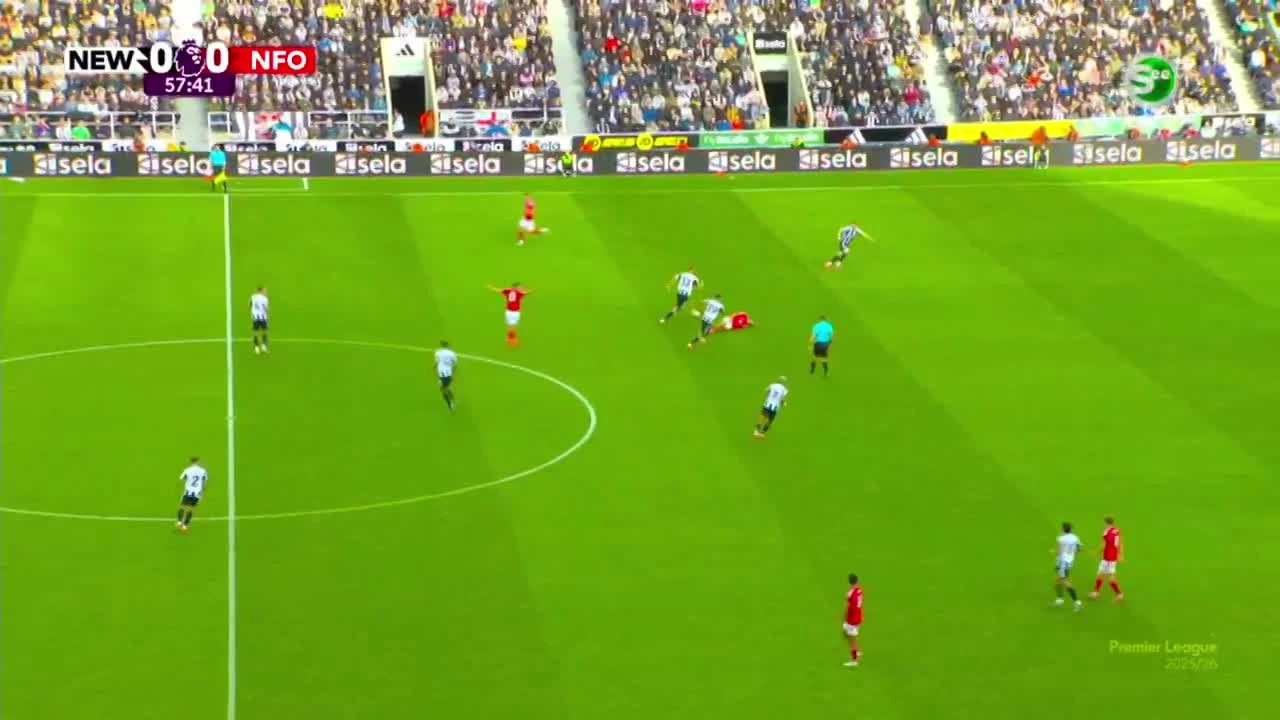 zaslepka skrotu video