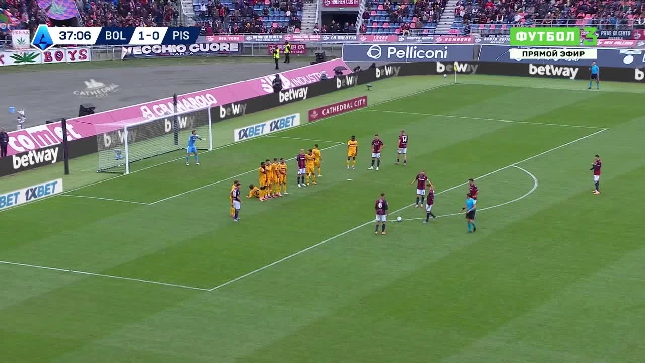 zaslepka skrotu video