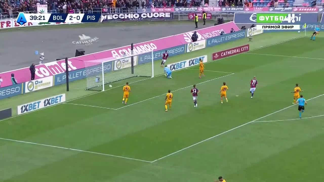 zaslepka skrotu video