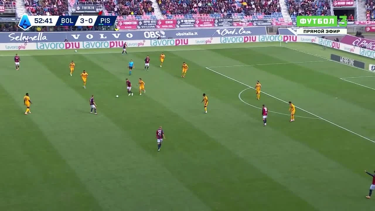 zaslepka skrotu video